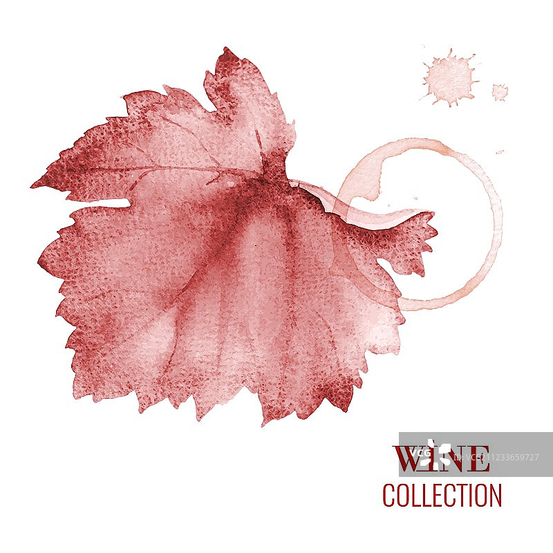 葡萄酒单图片素材