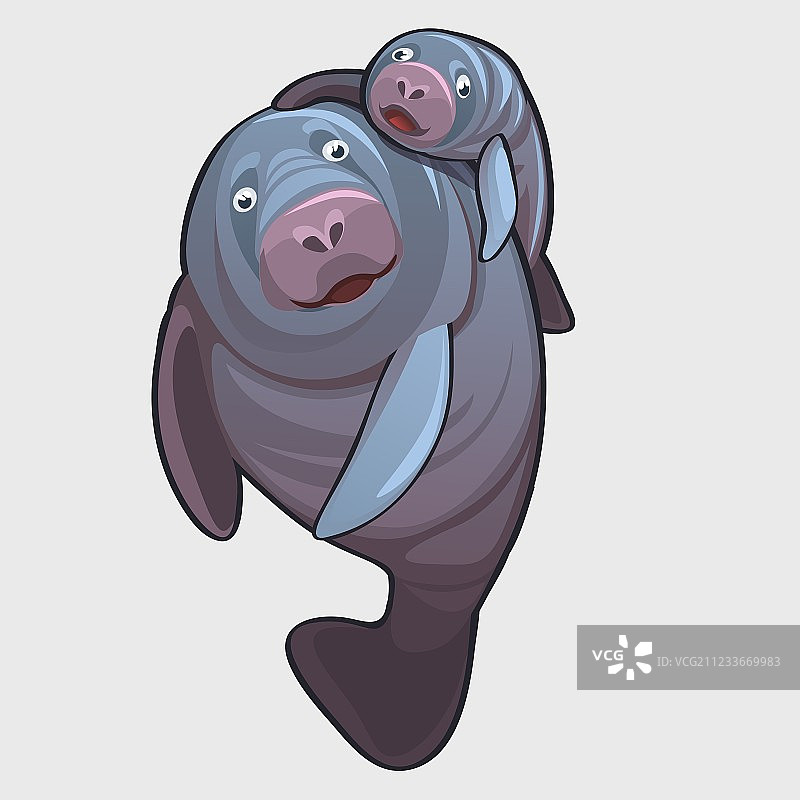 海豹父子图片素材