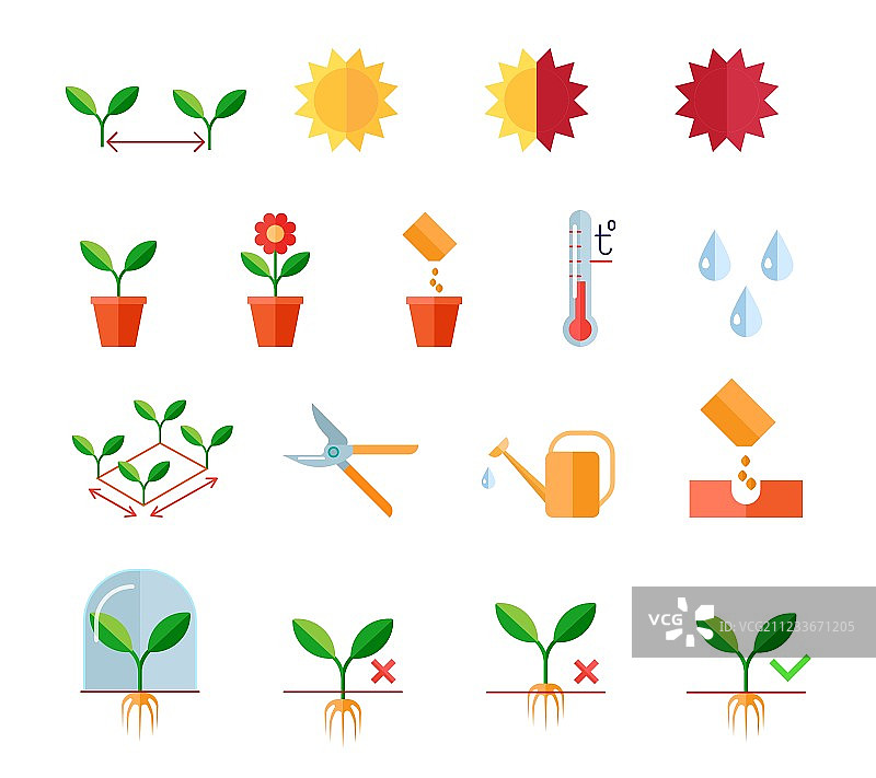 播种和种植说明步骤修剪图片素材