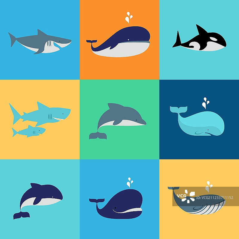 鲸鱼、海豚和鲨鱼图标合集图片素材