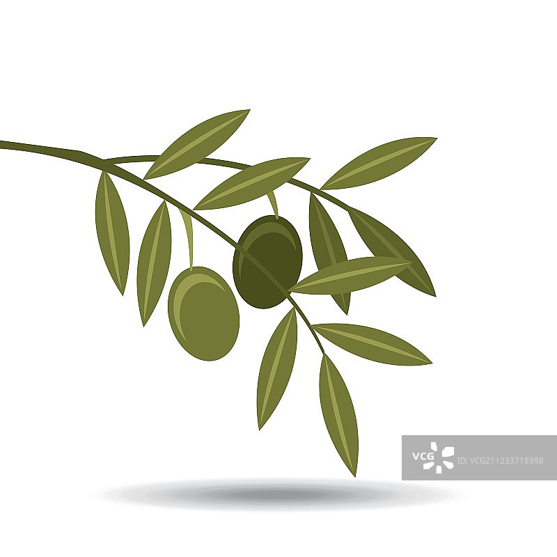 橄榄油的设计图片素材