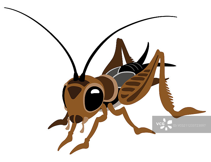 卡通蟋蟀图片素材