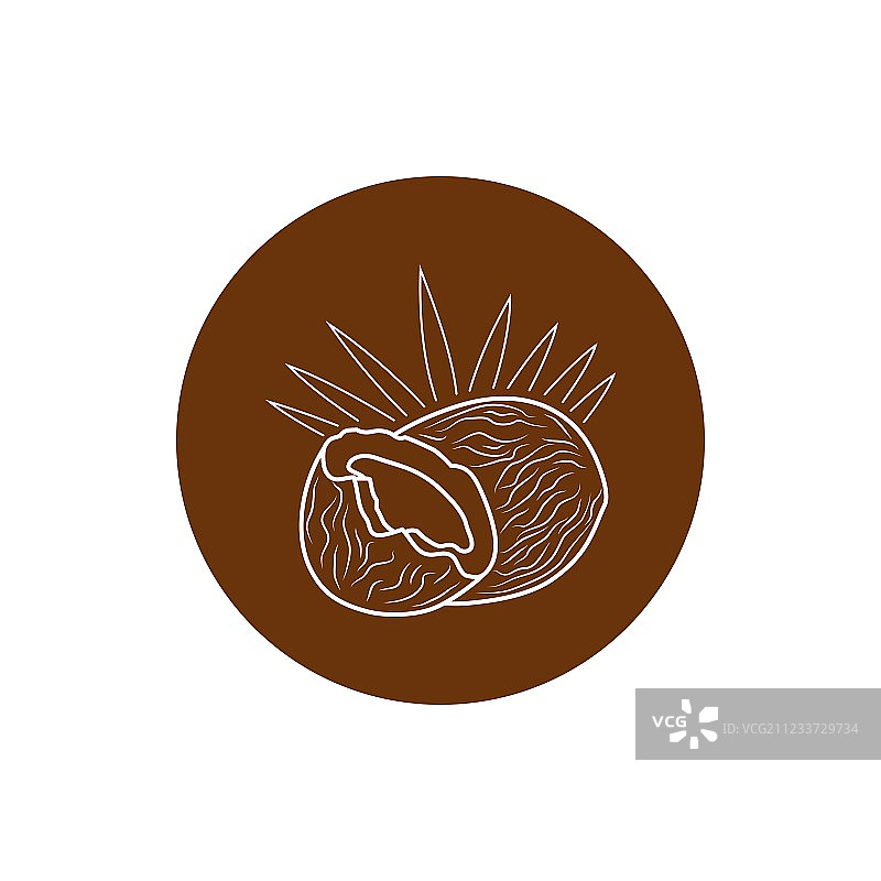 椰子轮廓图标图片素材