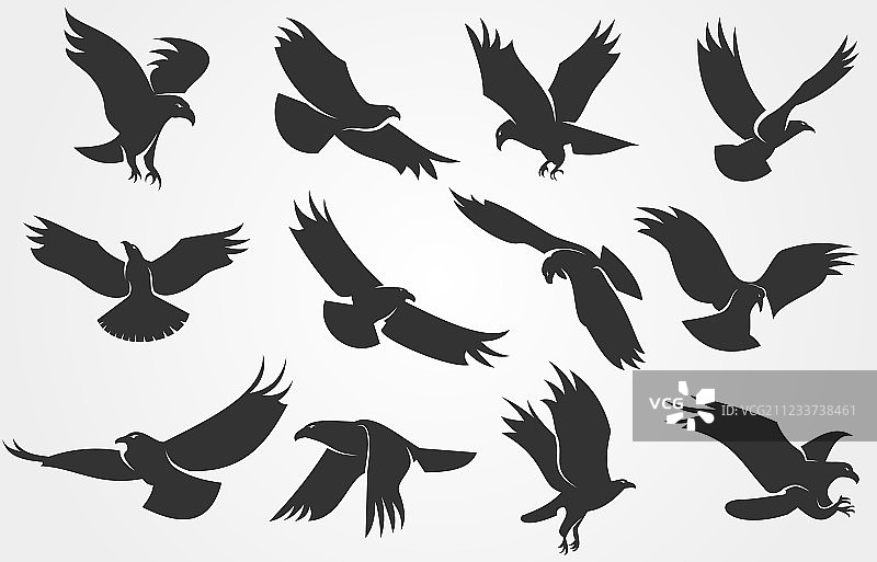 老鹰的剪影图片素材