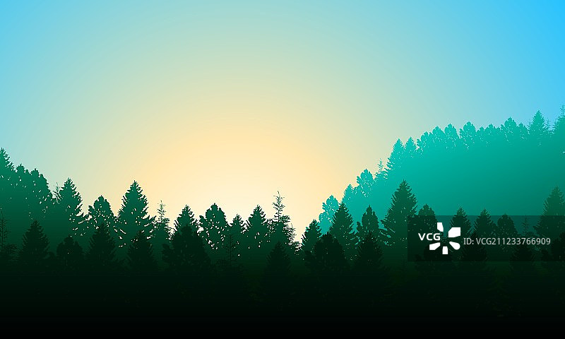 清晨松林，天空与阳光图片素材