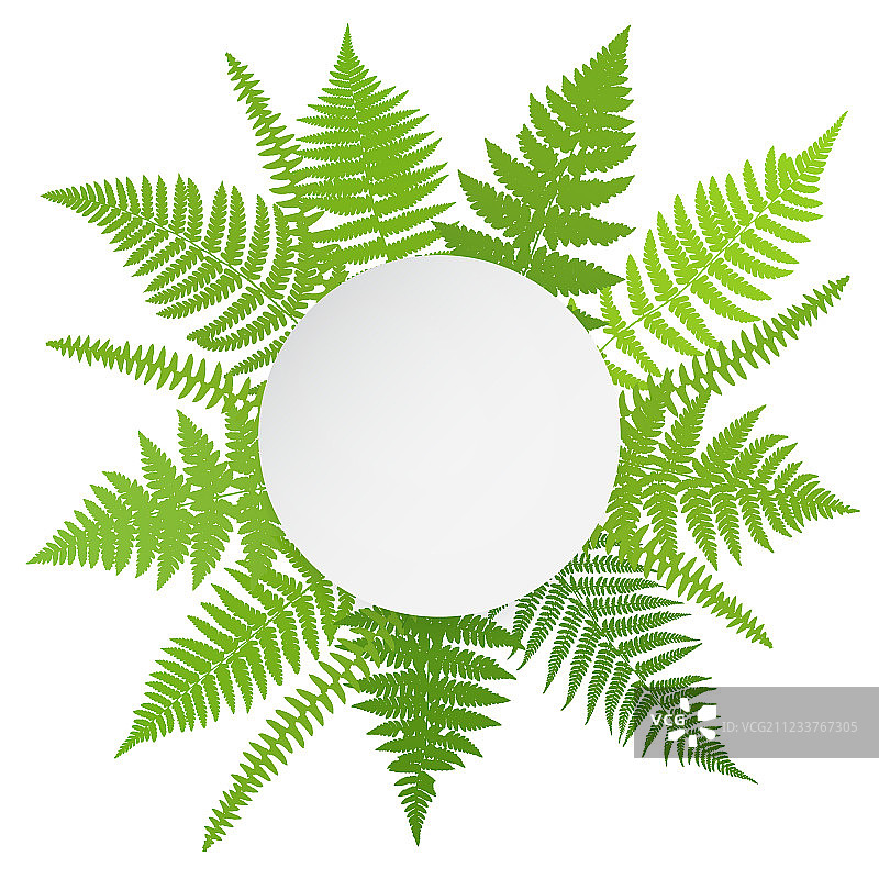 丛林海报蕨类植物背景图片素材