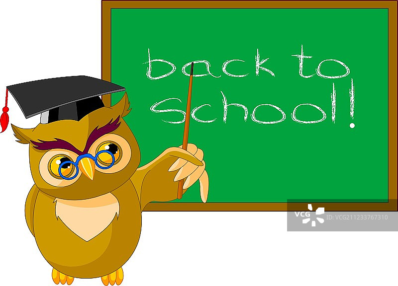 智慧猫头鹰图片素材