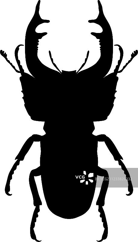 昆虫剪影：锹甲图片素材