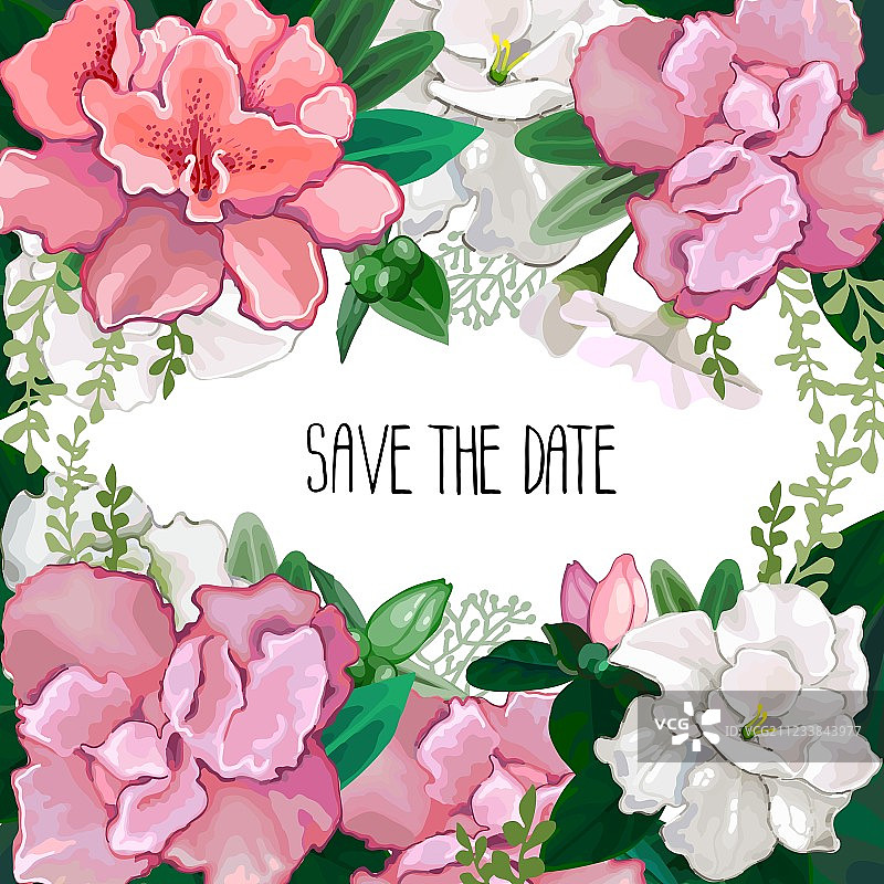 杜鹃花卉花束卡片图片素材