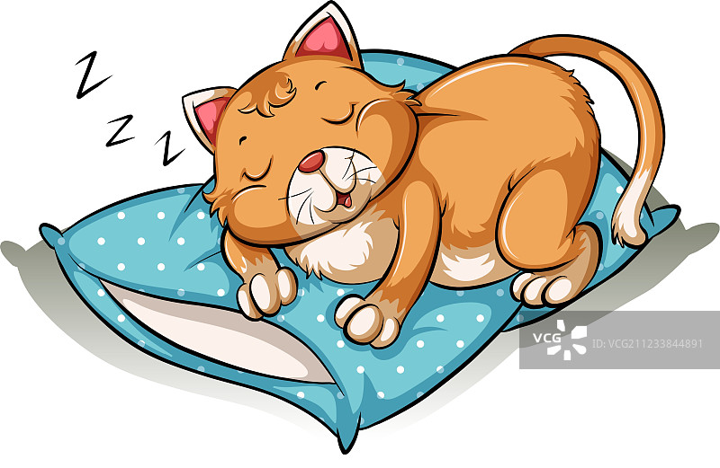猫咪小憩图片素材