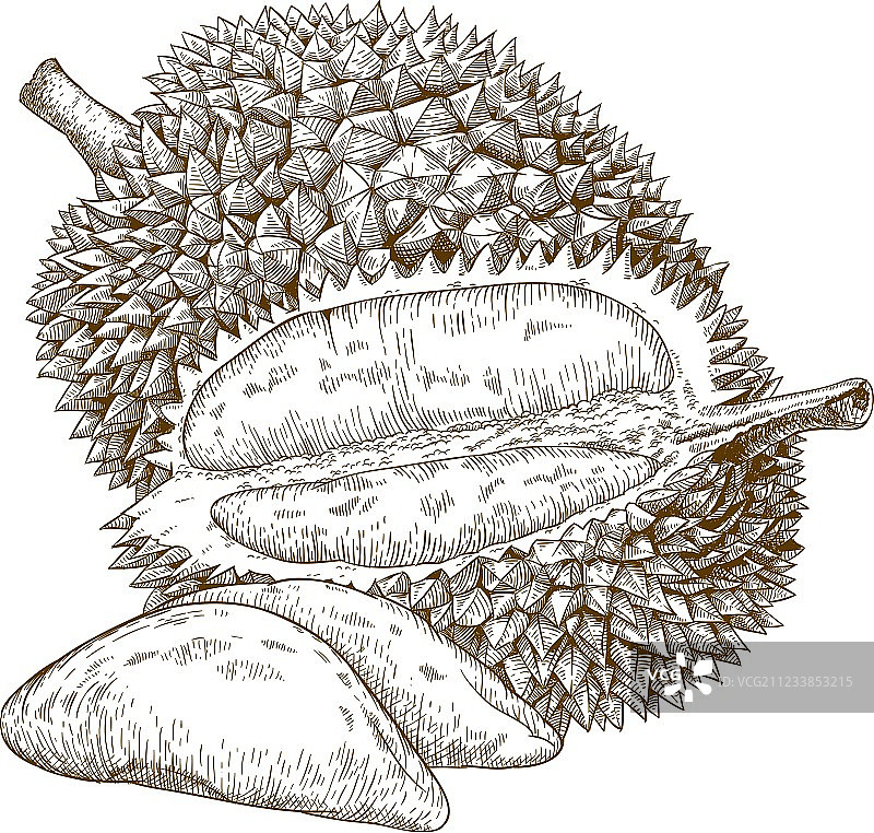 榴莲雕刻图案图片素材