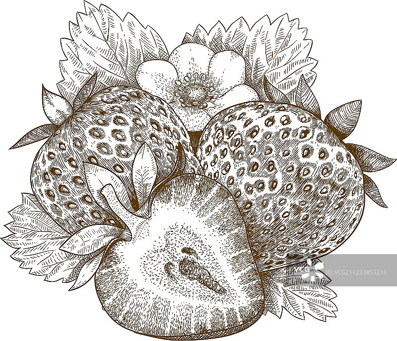 草莓雕刻图片素材