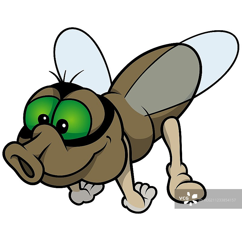 飞翔的苍蝇图片素材