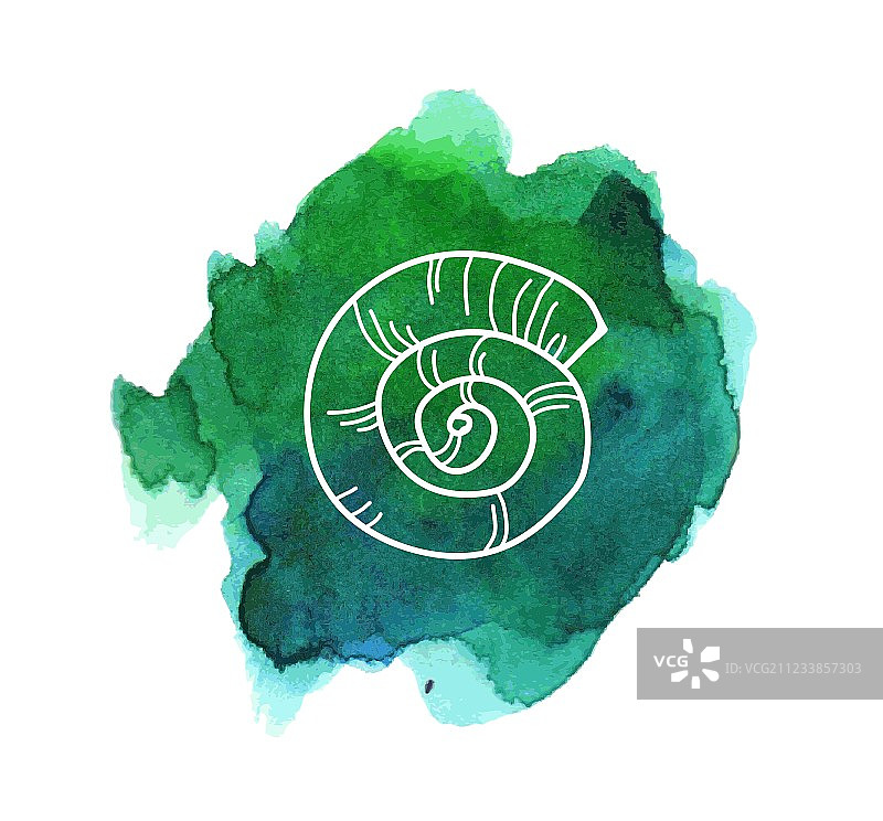 水彩污渍上的海螺贝壳图片素材