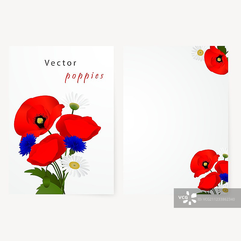 带洋甘菊、矢车菊和红色元素的卡片模板图片素材