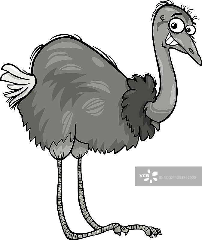 美洲鸵鸟卡通形象图片素材