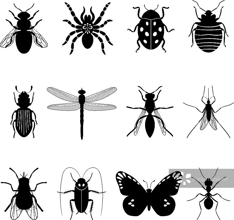 昆虫图标图片素材