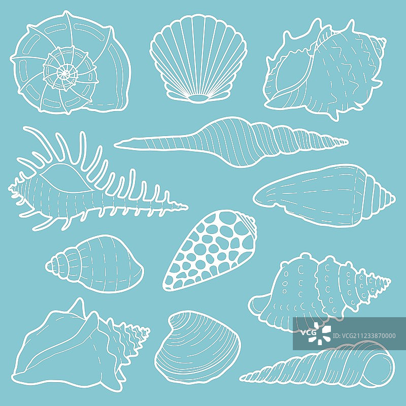 白色海螺贝壳图标合集图片素材