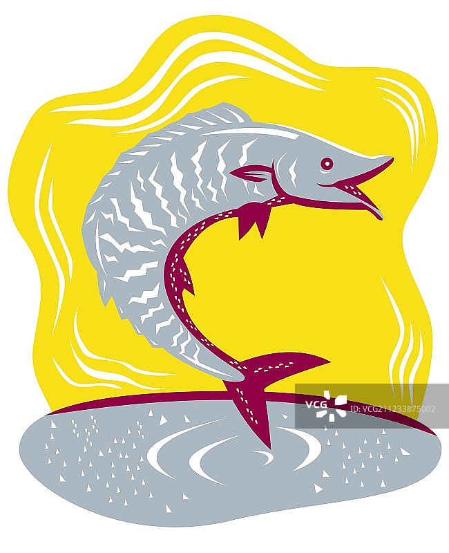 瓦胡鱼跳跃复古风图片素材