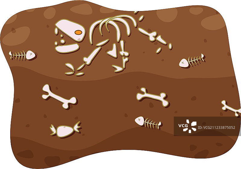 地下的化石图片素材