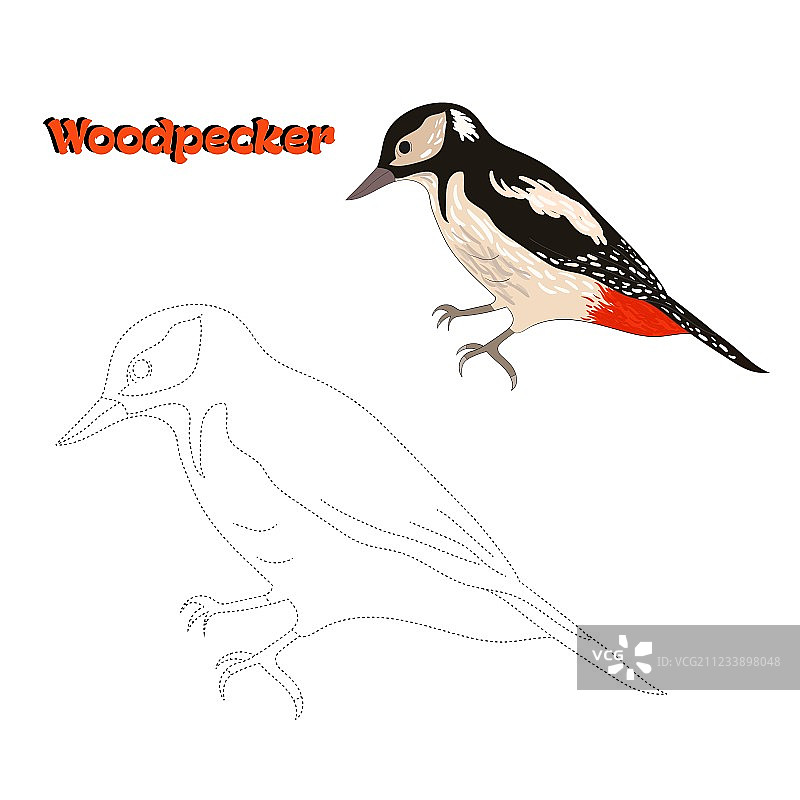 教育游戏：连接点以绘制鸟图片素材