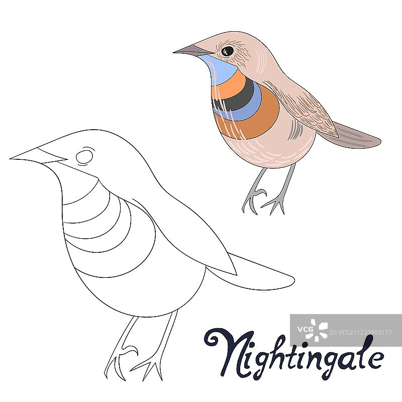 教育游戏着色书：夜莺鸟图片素材