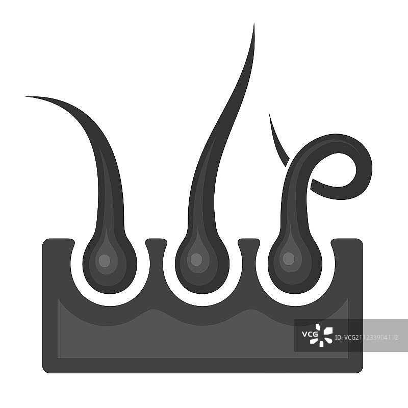 毛囊图标图片素材