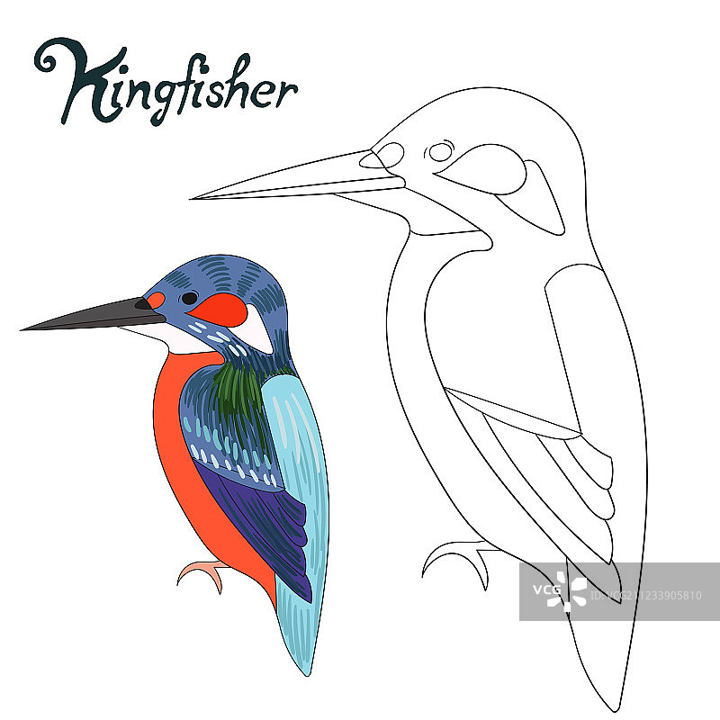 翠鸟儿童教育游戏填色书图片素材