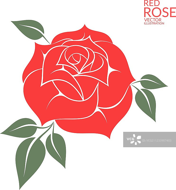 红玫瑰图片素材