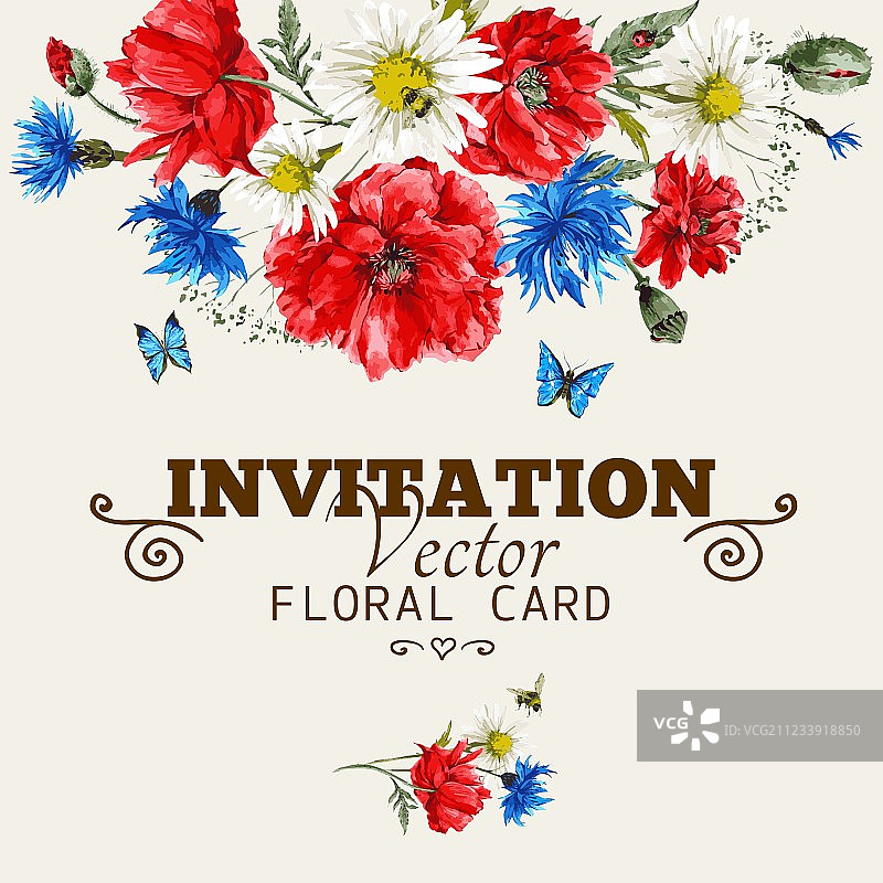 水彩红色罂粟花贺卡图片素材