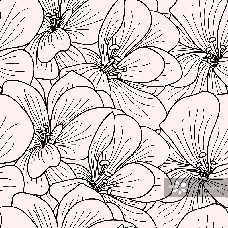 米色和棕色天竺葵花朵图片素材