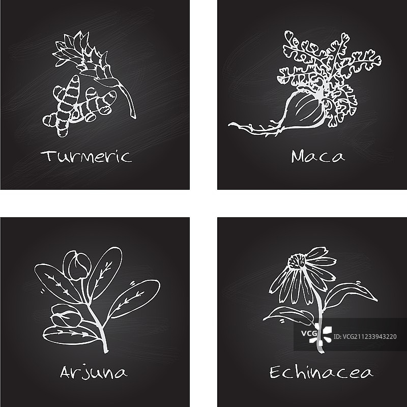 手绘健康与自然套装图片素材