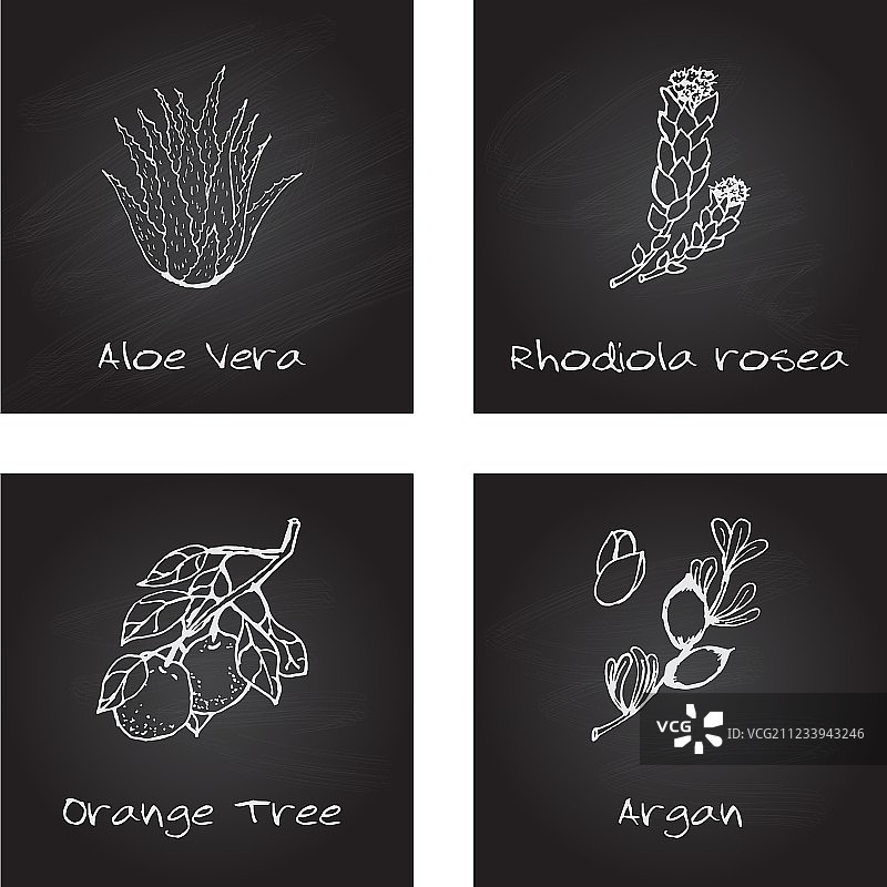 手绘健康与自然套装图片素材