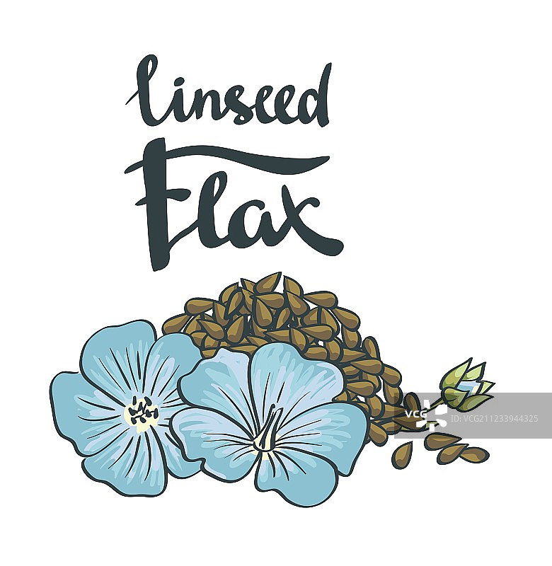 亚麻籽与鲜花图片素材