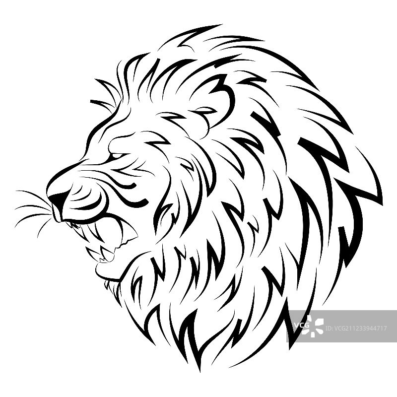 狮子头部图片素材