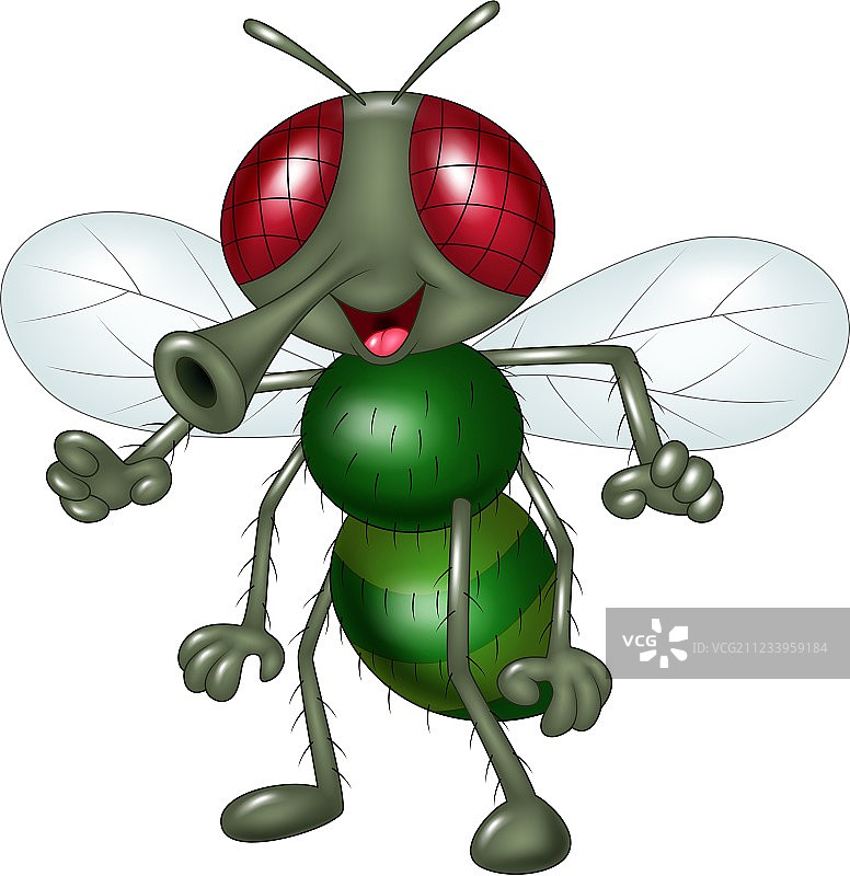 卡通快乐的苍蝇，白色背景上孤立图片素材