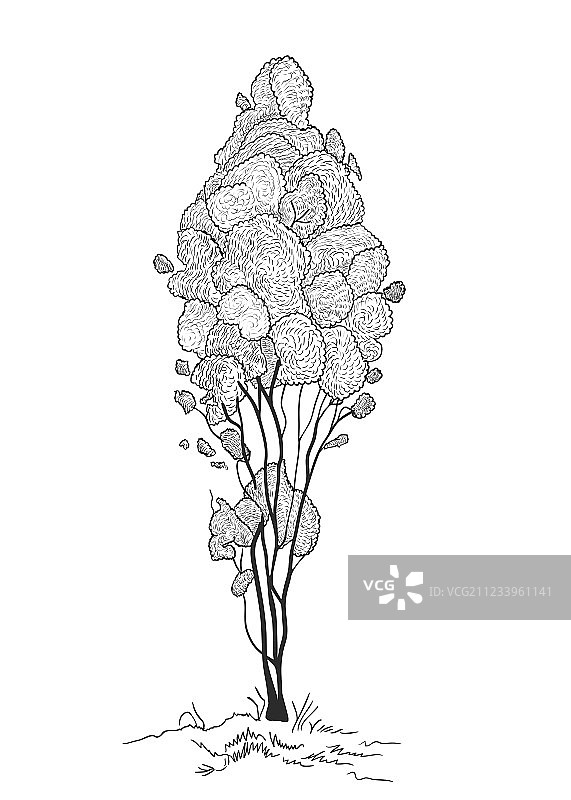 灌木丛雕刻素描图片素材