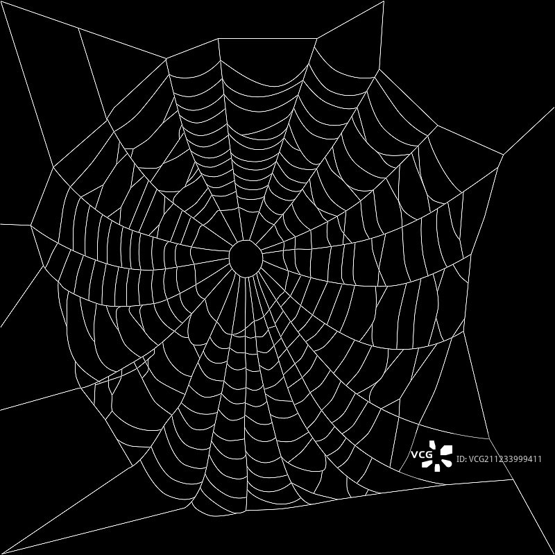 蜘蛛网或网图片素材