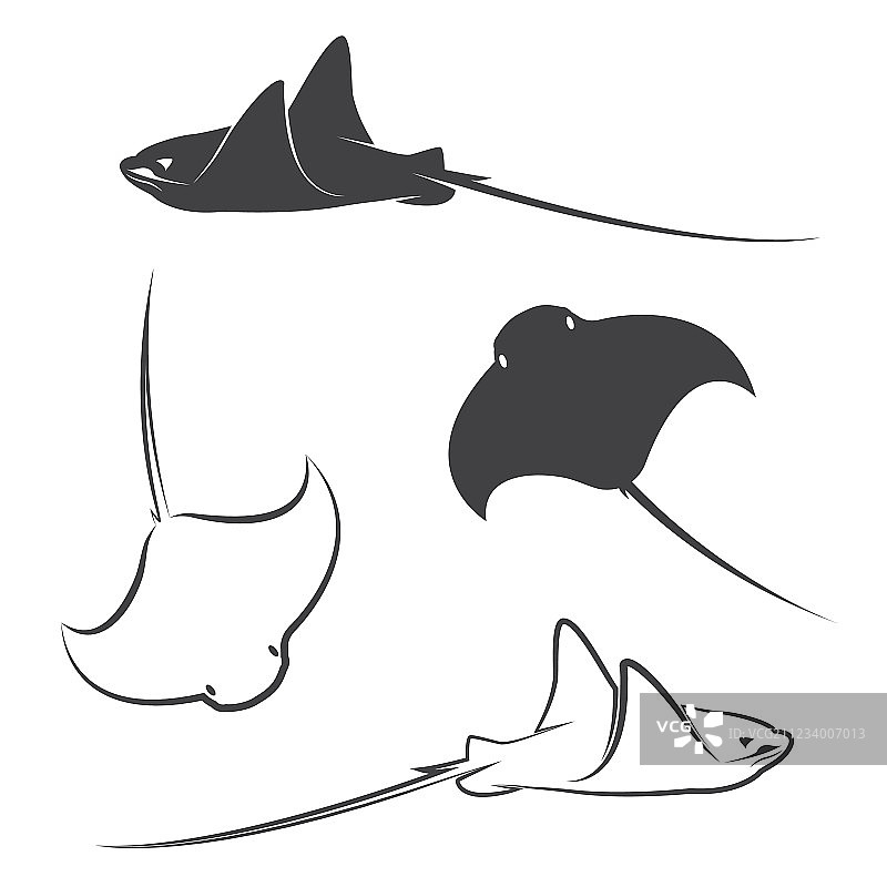 一群黄貂鱼图片素材