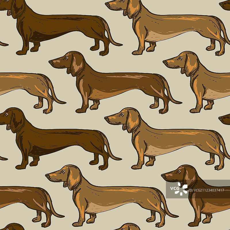 腊肠犬无缝图案图片素材