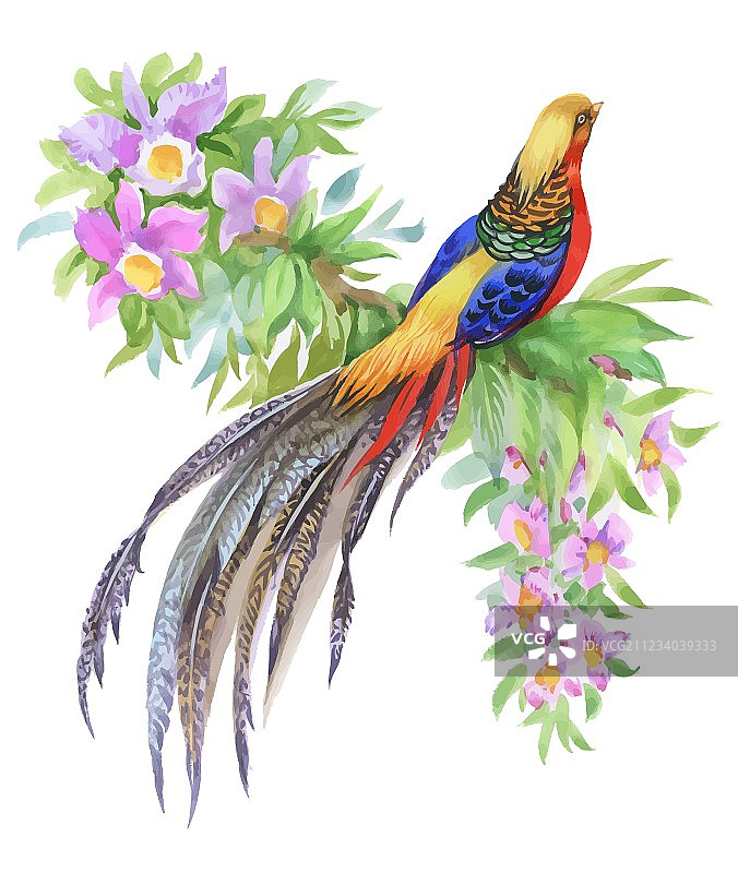 手绘草地花丛中的野鸡图片素材