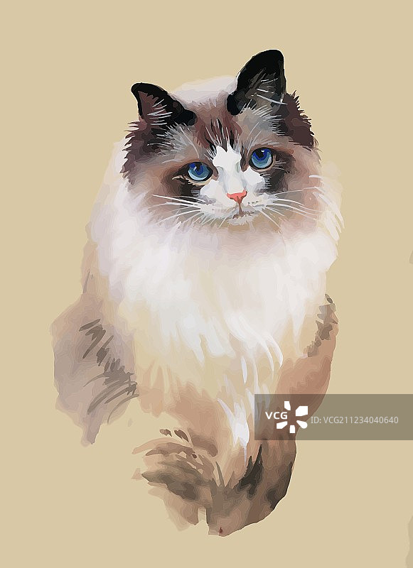 水彩猫咪肖像图片素材