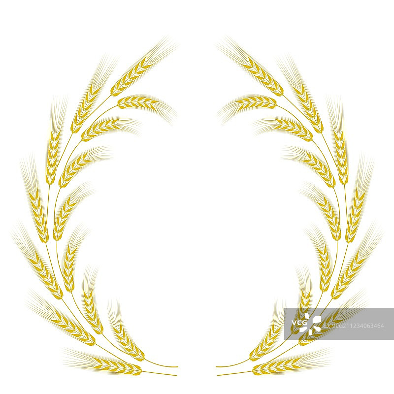 小麦边框图片素材