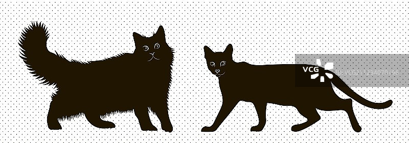 西伯利亚猫和孟加拉猫剪影图片素材