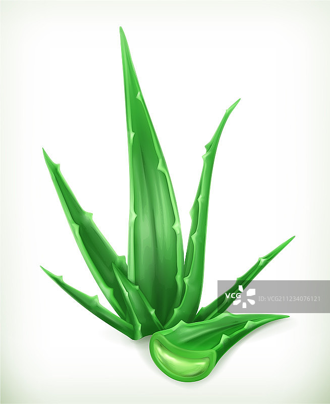 芦荟图标图片素材