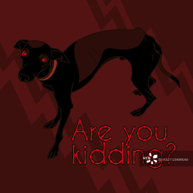 生气的意大利格力犬图片素材