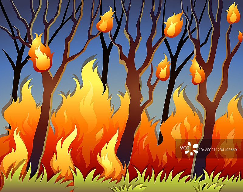 燃烧的森林中的树木图片素材