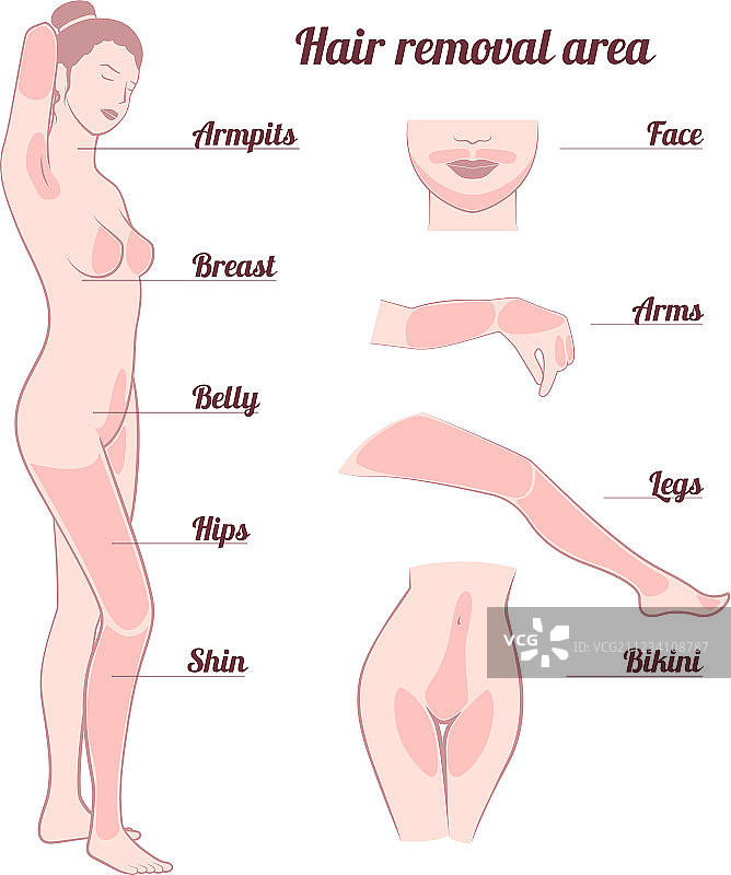 脱毛区域图片素材