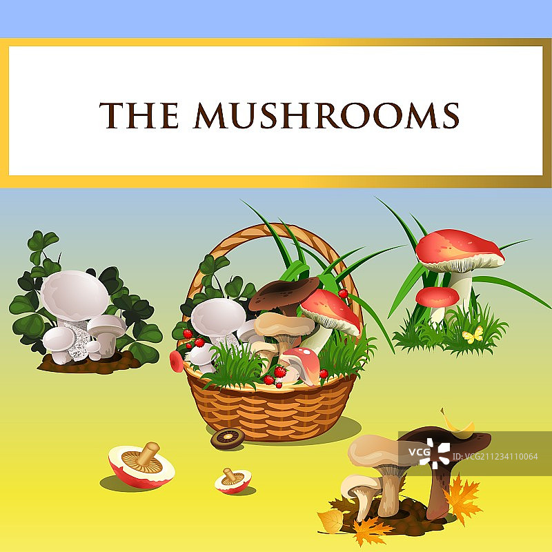 森林蘑菇和蘑菇篮子图片素材