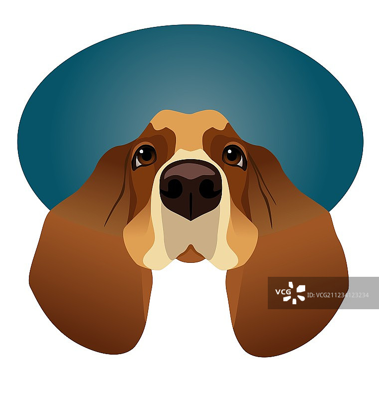 孤立在蓝色圆圈框架上的巴吉度猎犬图片素材